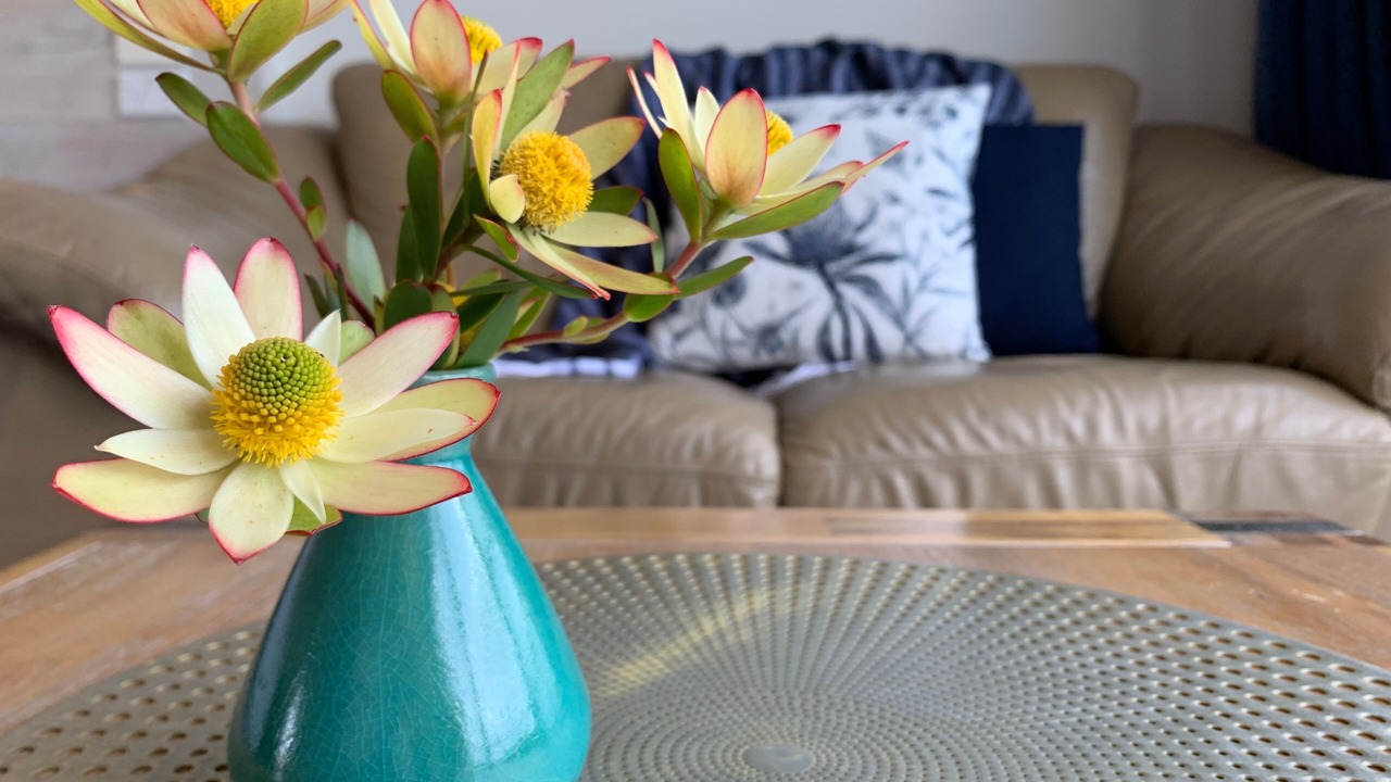 Photo of Bedroom in Apollo Bay