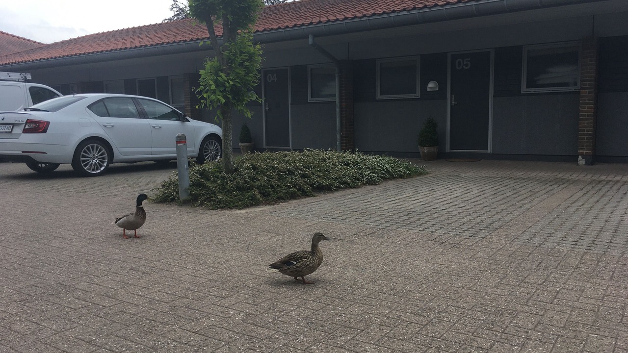 Photo of Others in Svendborg