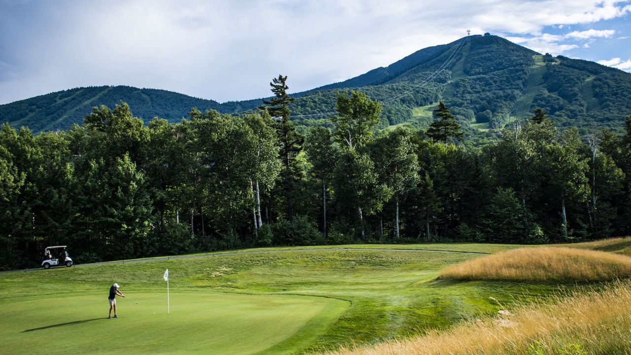 Photo of Others in North Troy