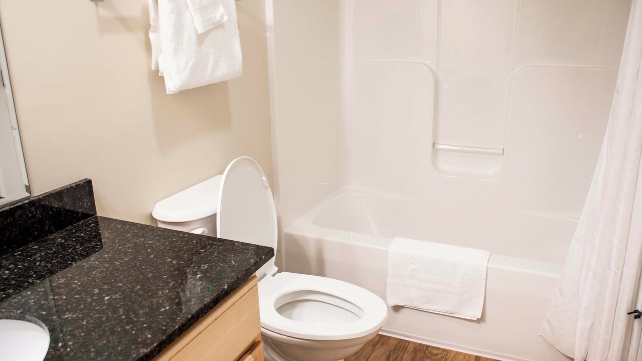 Photo of Others in North Troy