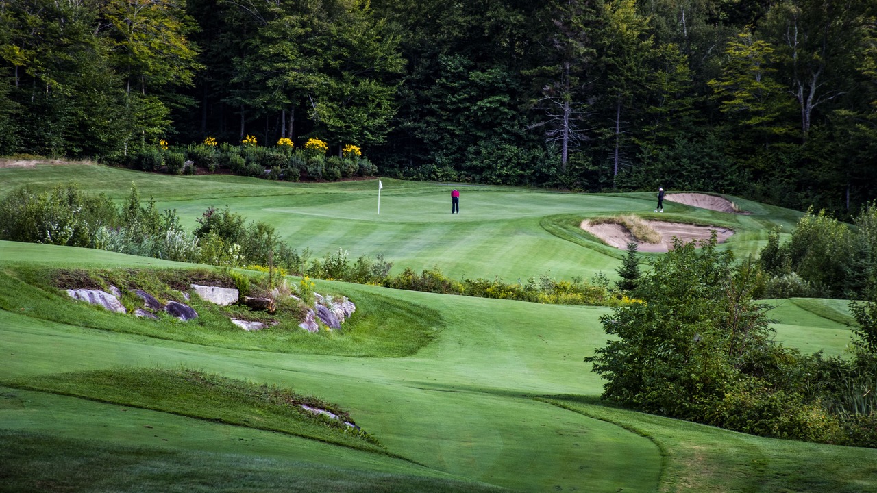 Photo of Others in North Troy