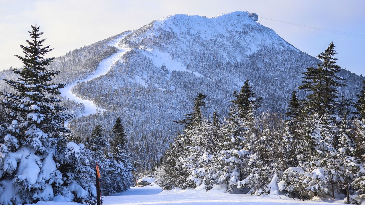 Photo of Others in North Troy