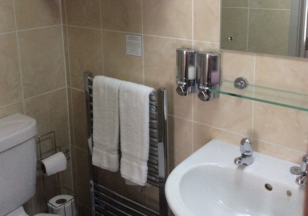 Photo of Others in Woodstock