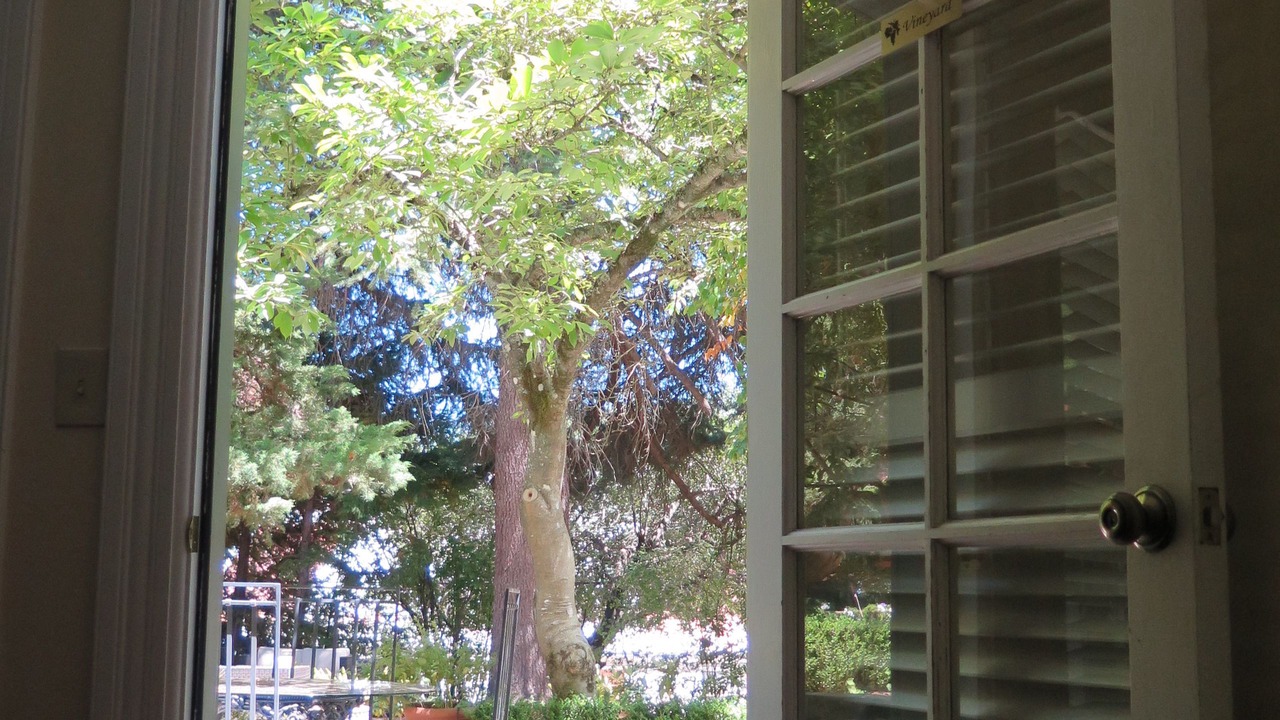 Photo of Bedroom in Healdsburg