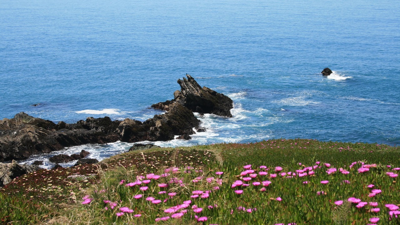 Photo of Outdoor in Timber Cove