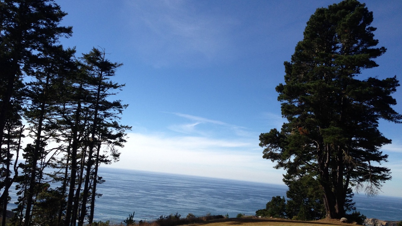 Photo of Others in Timber Cove