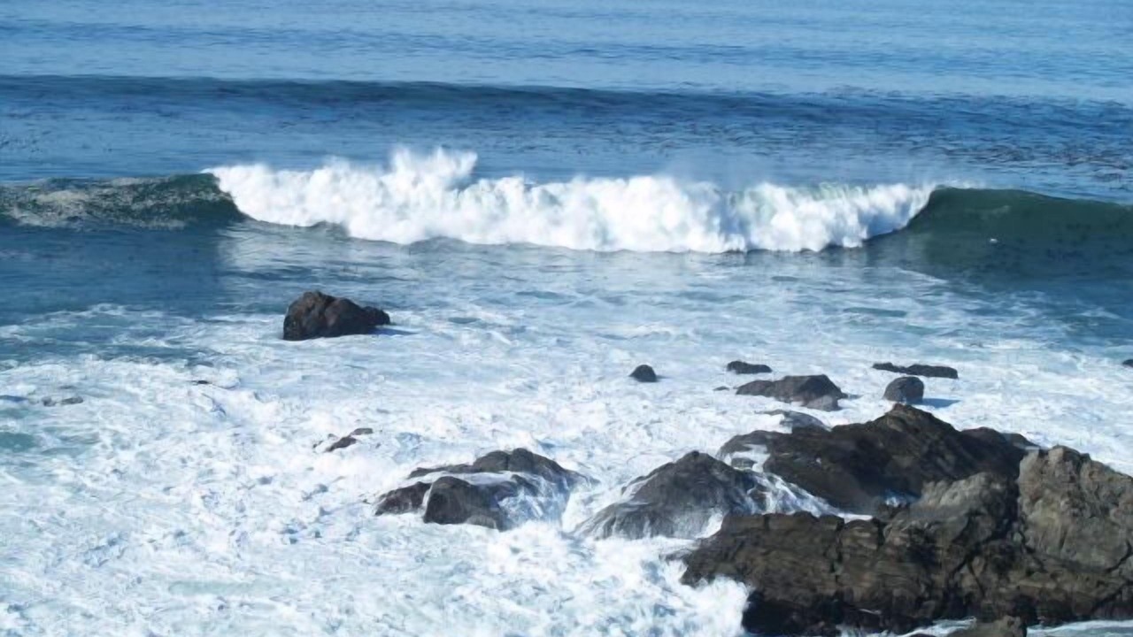 Photo of Others in Timber Cove