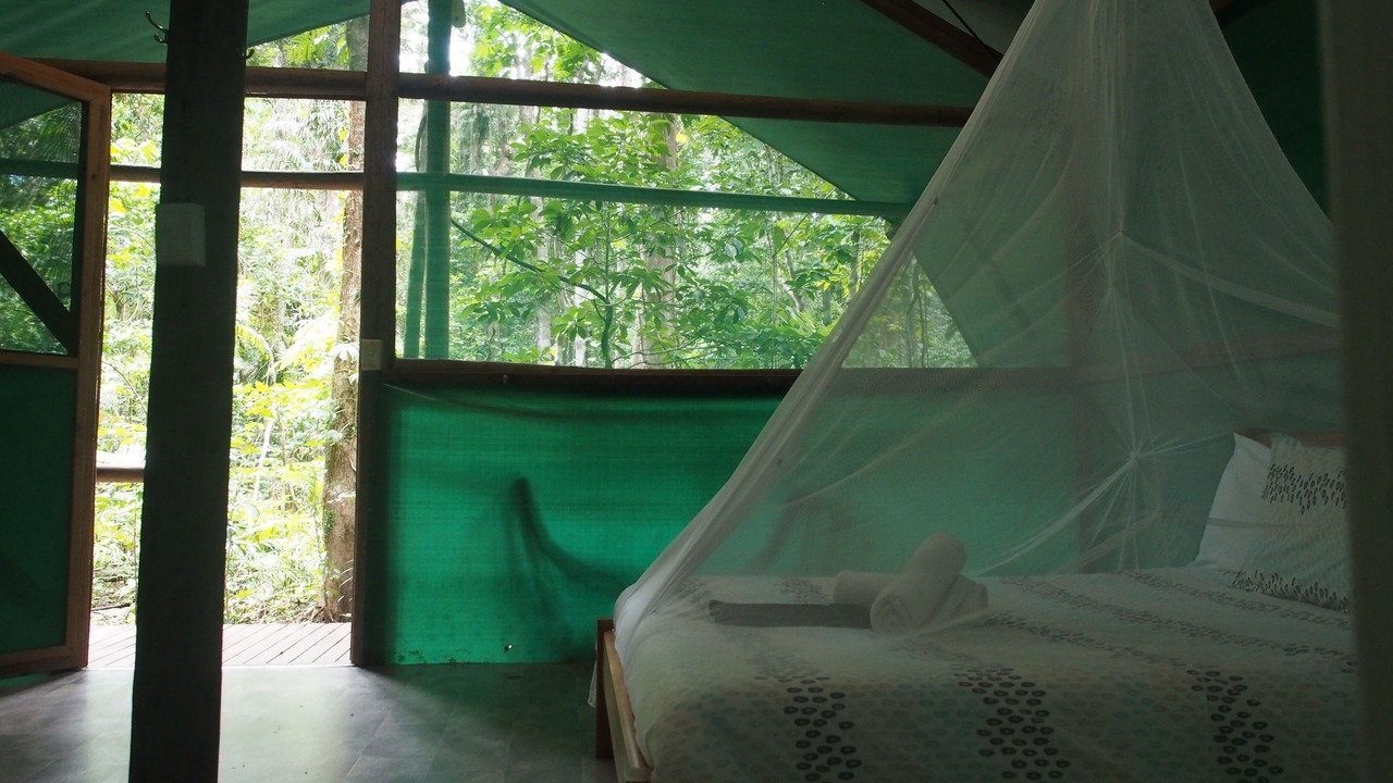 Photo of Bedroom in Cow Bay