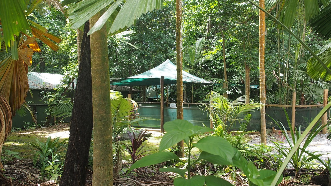 Photo of Outdoor in Cow Bay