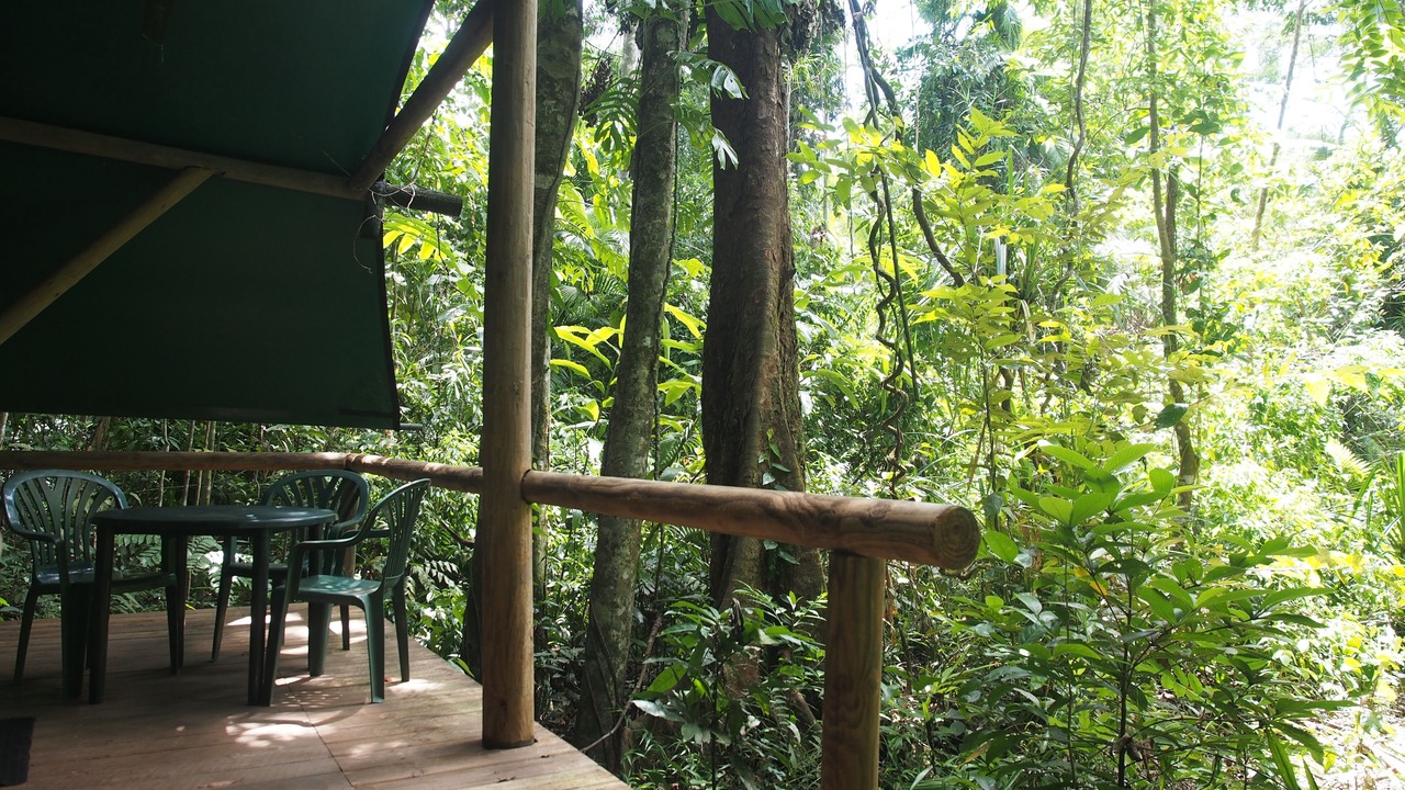Photo of Bedroom in Cow Bay
