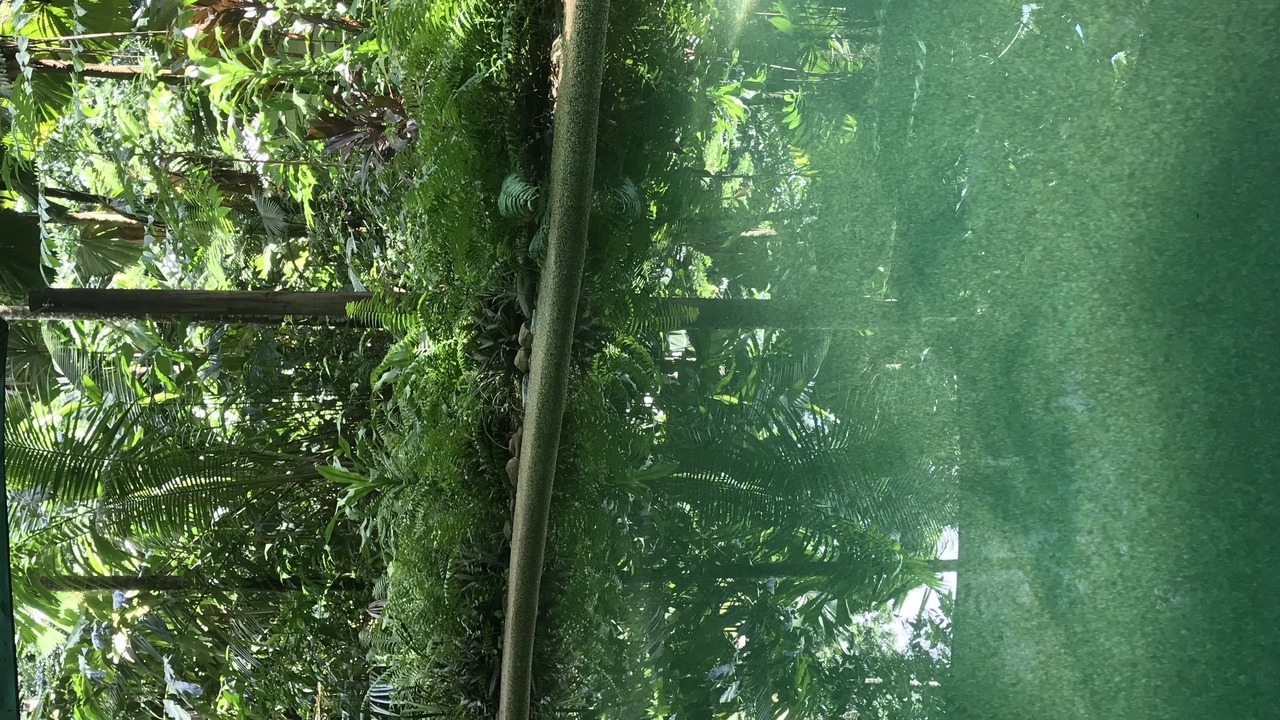 Photo of Others in Cow Bay