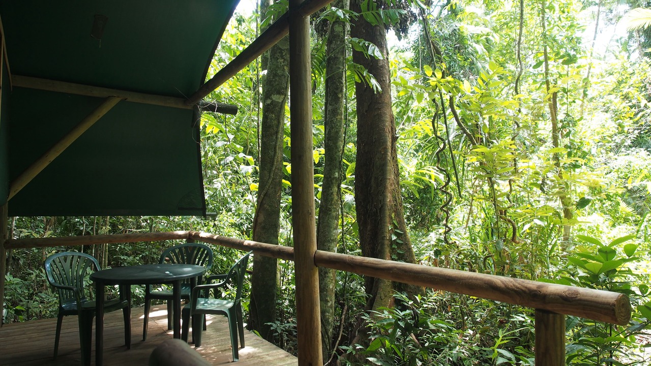 Photo of Bedroom in Cow Bay