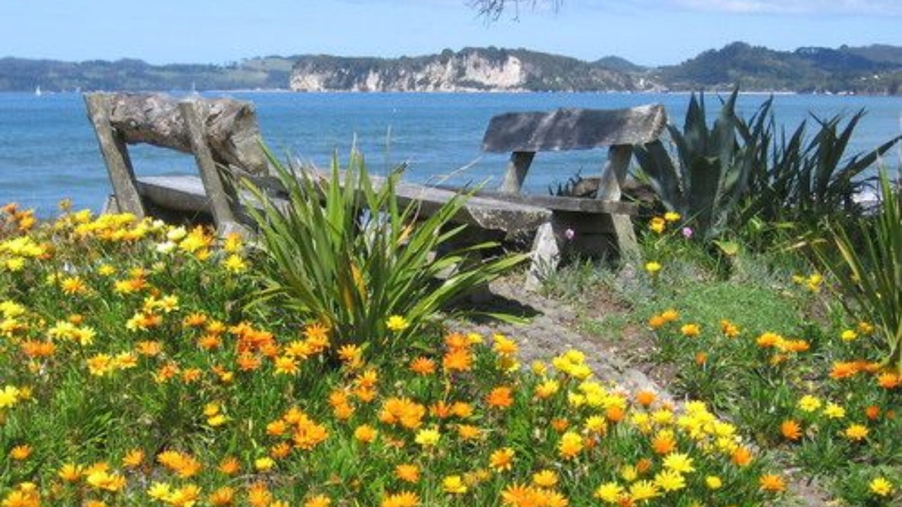 Photo of Others in Whitianga