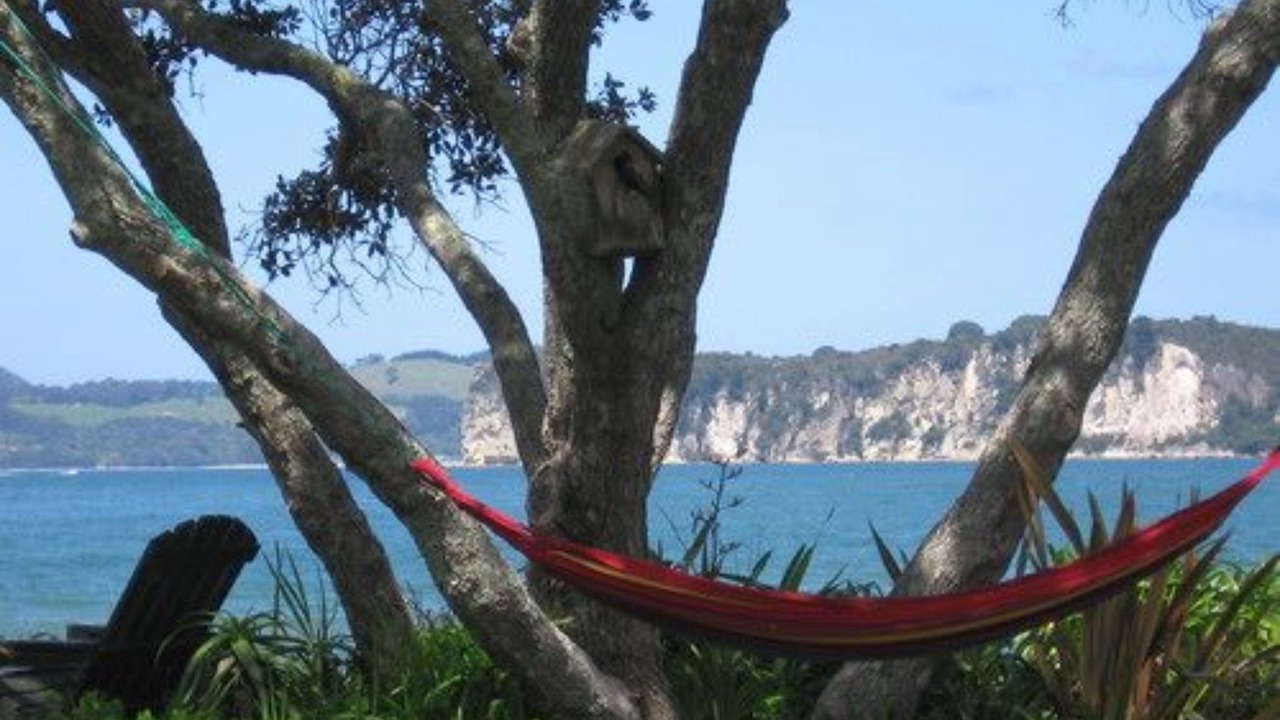 Photo of Others in Whitianga