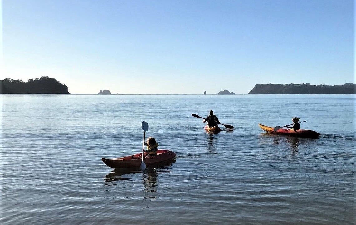 Photo of Others in Whitianga