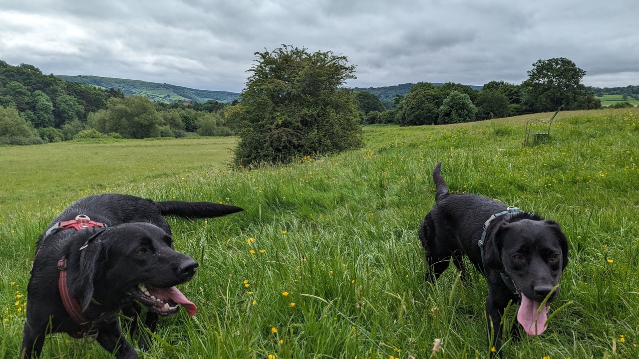 Photo of Others in Westbrook Court