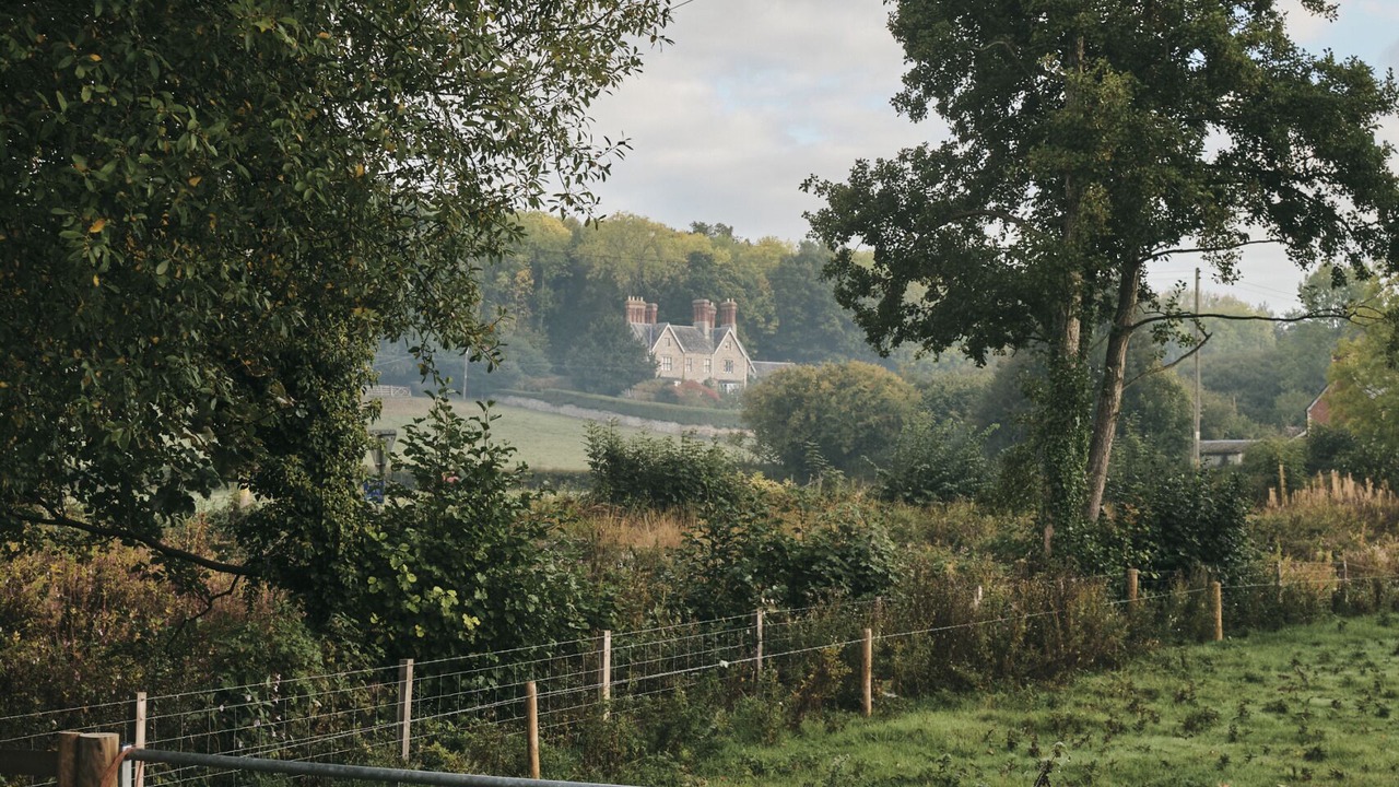 Photo of Others in Westbrook Court