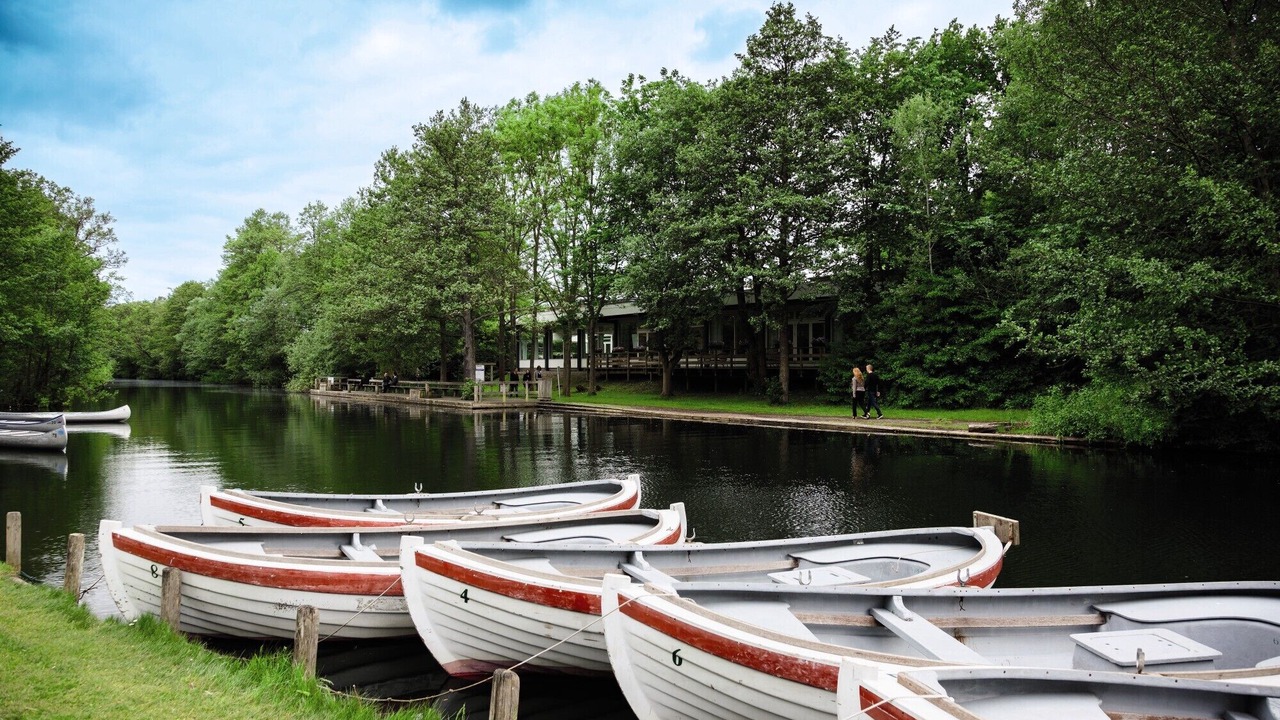 Photo of Others in Lyngby-Taarbæk Kommune