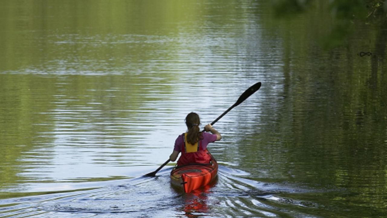 Photo of Others in Lyngby-Taarbæk Kommune