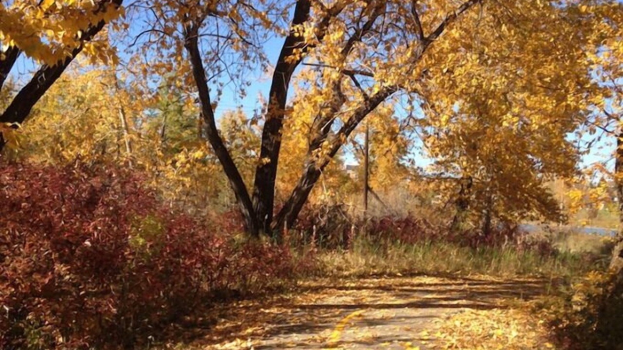 Photo of Outdoor in Kensington