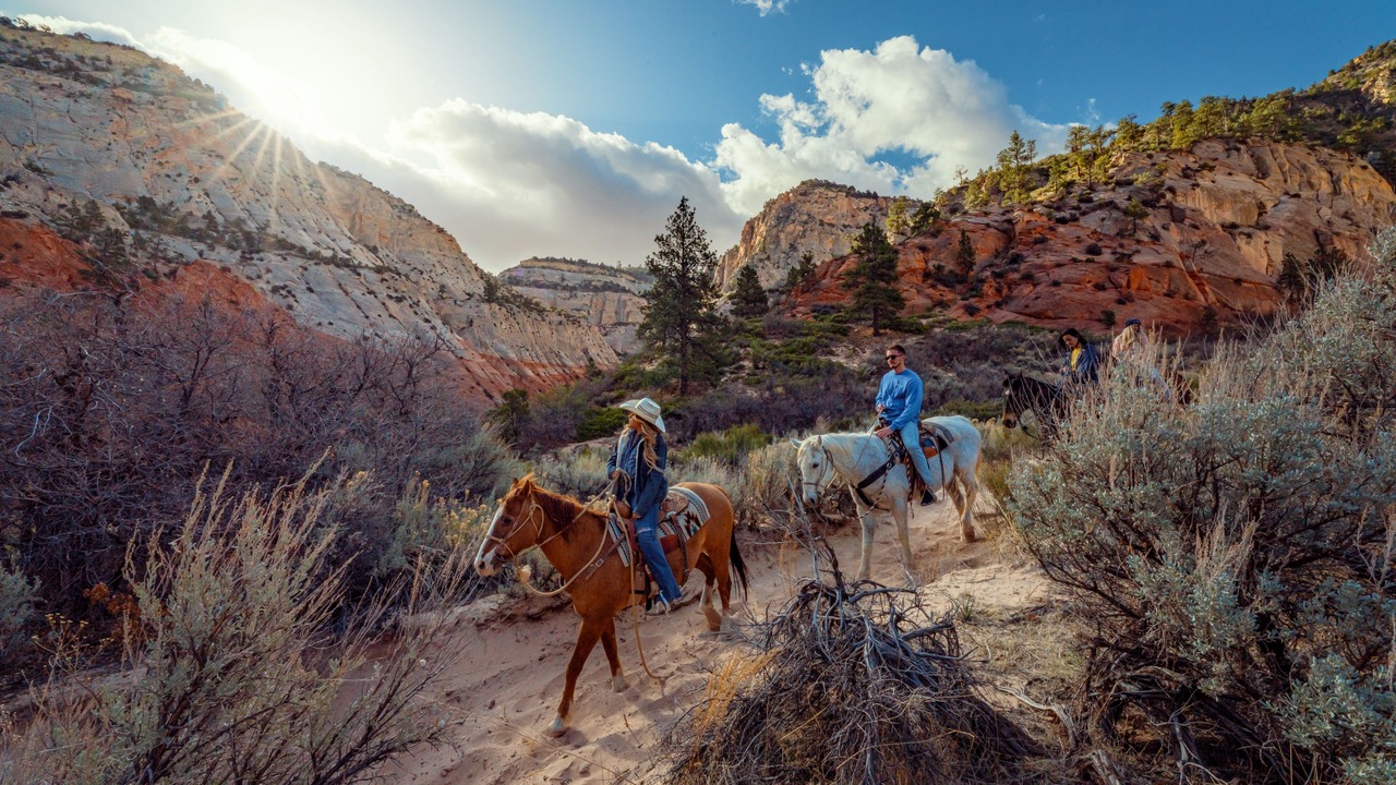 Photo of Outdoor in Zion National Park East Entrance