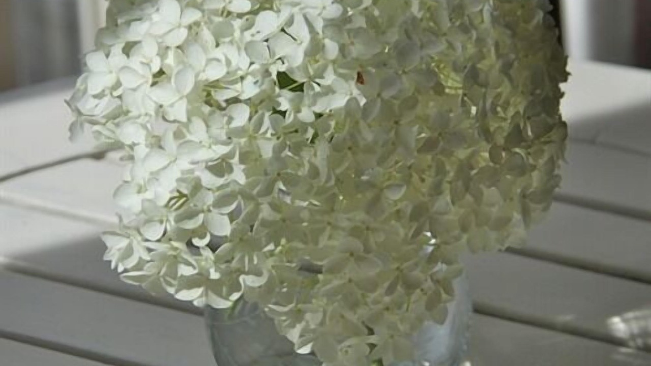 Photo of Others in Castle Bytham