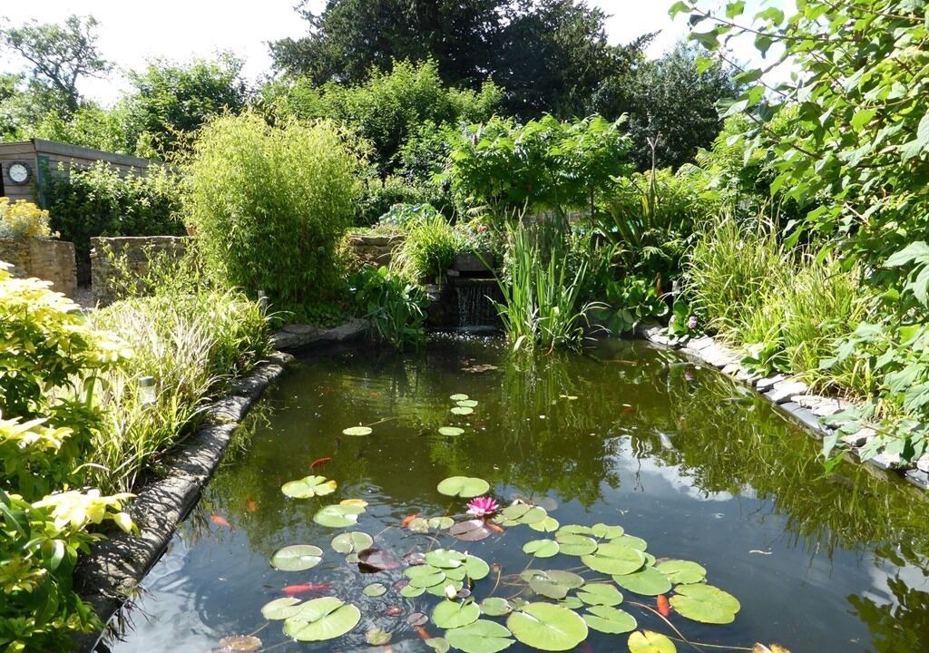 Photo of Outdoor in Ilchester