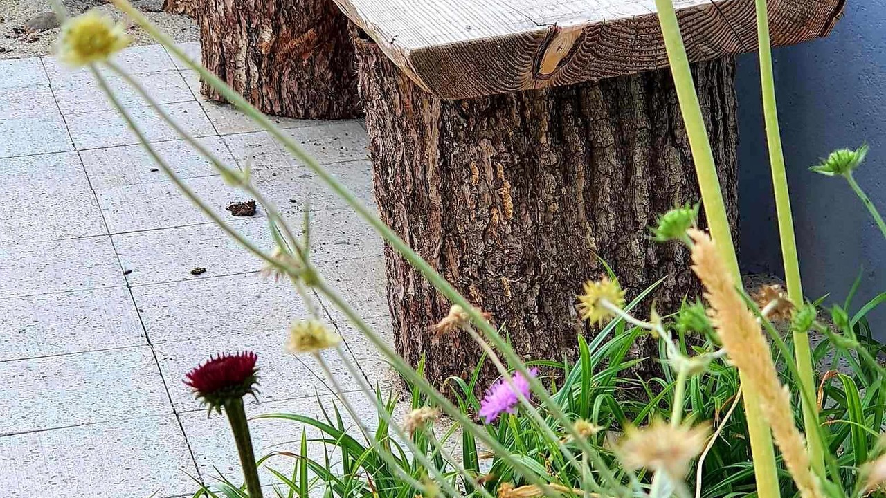Photo of Outdoor in Silkeborg