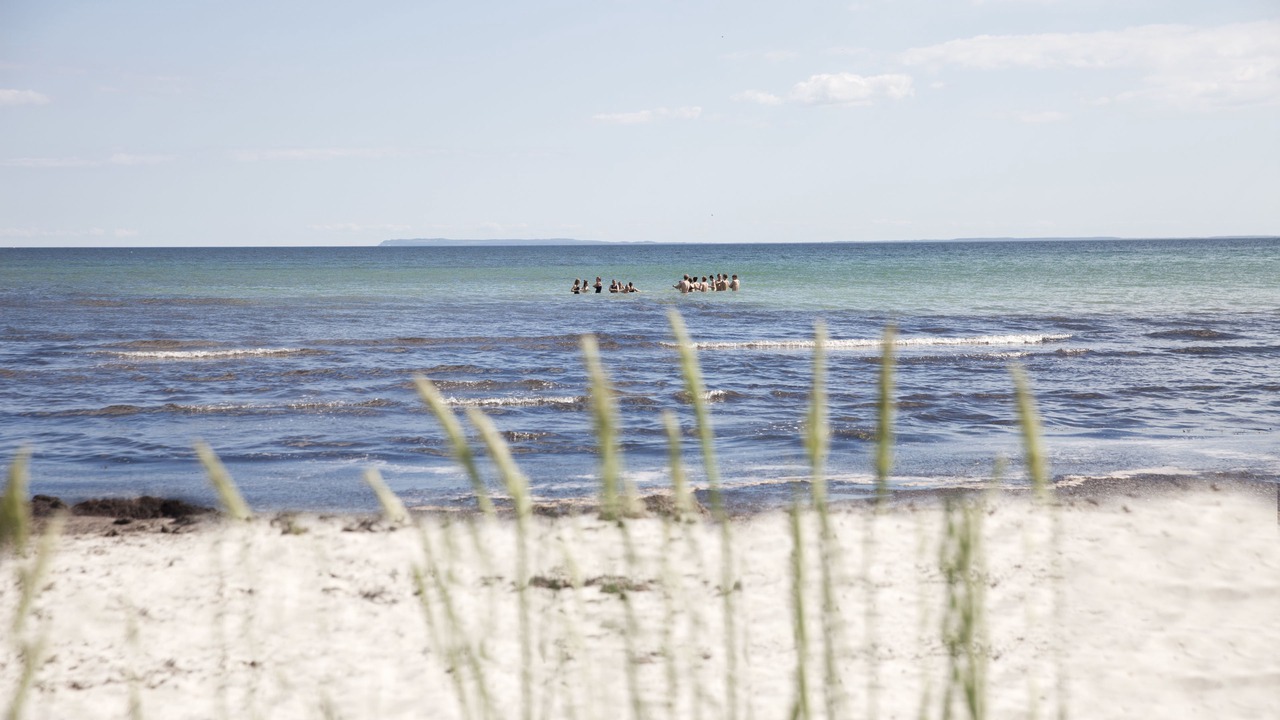 Photo of Others in Rødvig