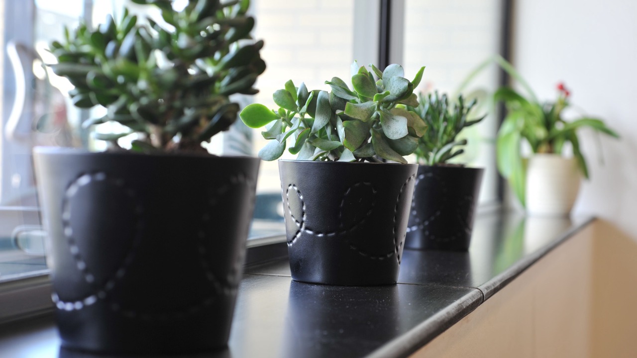 Photo of Others in Erbree