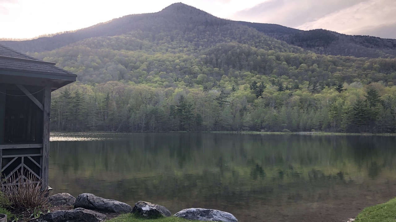 Photo of Others in Manchester Center