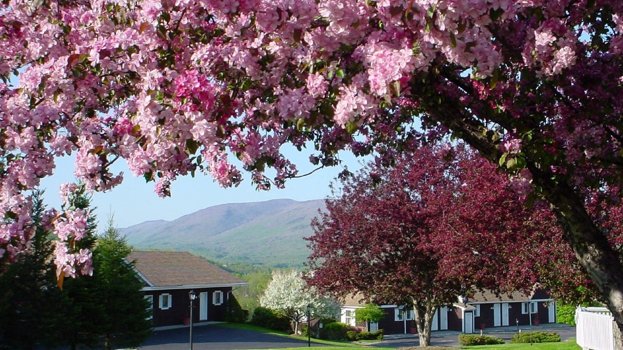 Photo of Outdoor in Manchester Center