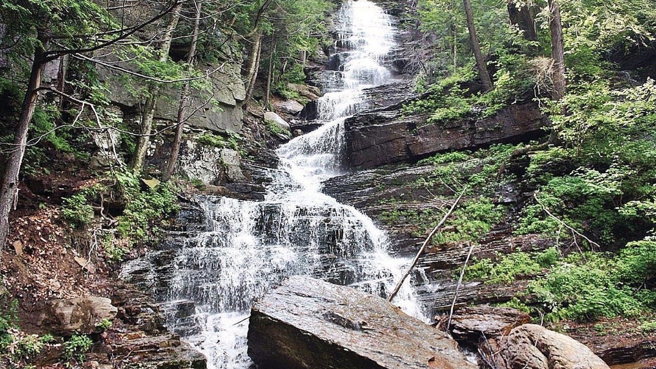 Photo of Others in Manchester Center