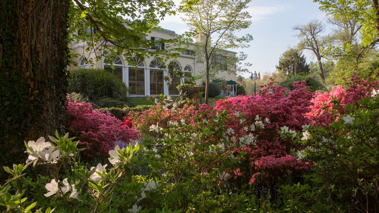 Photo of Outdoor in Warrenton