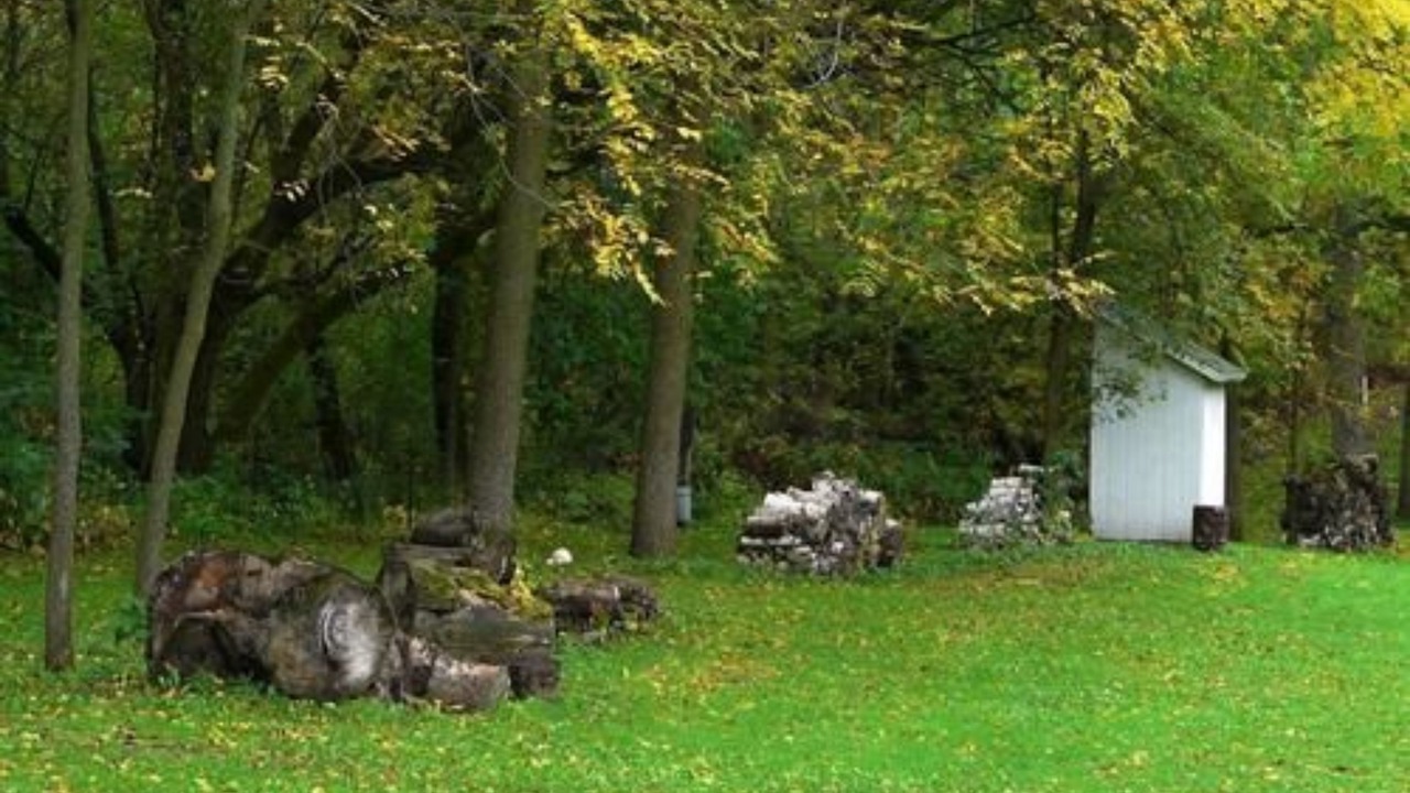 Photo of Outdoor in Sparta