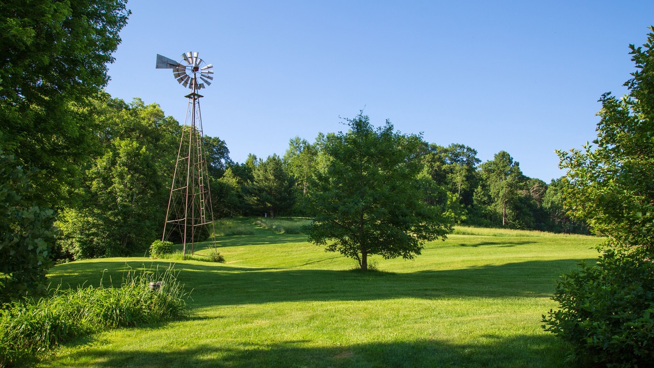 Photo of Outdoor in Sparta