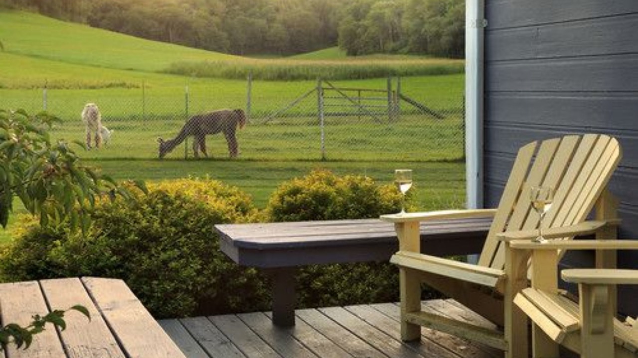 Photo of Outdoor in Sparta