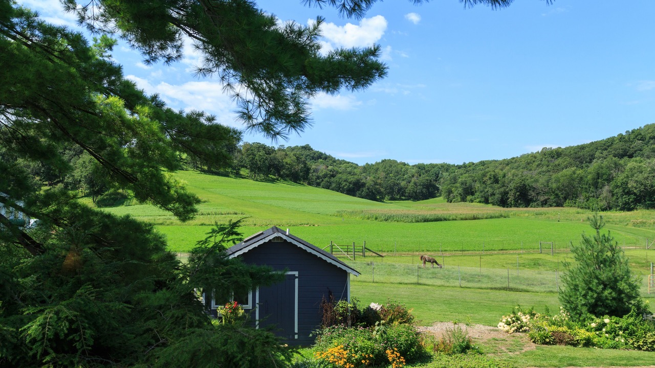 Photo of Outdoor in Sparta