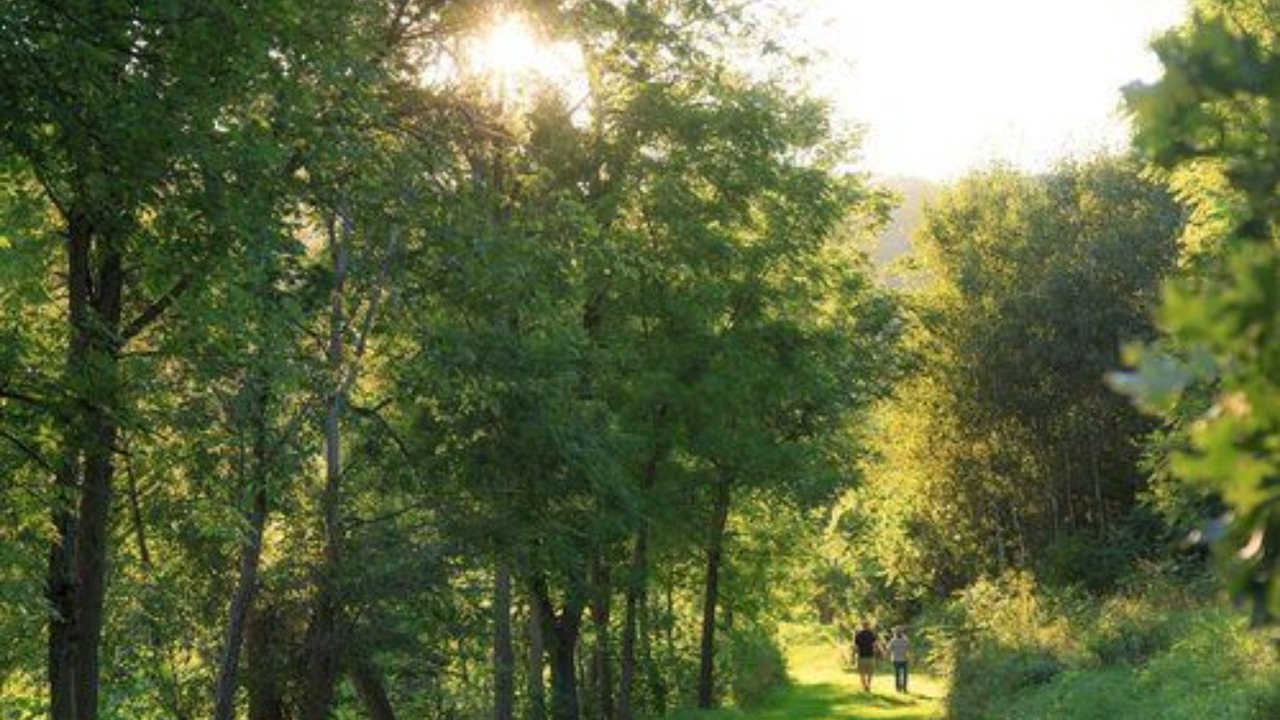 Photo of Outdoor in Sparta