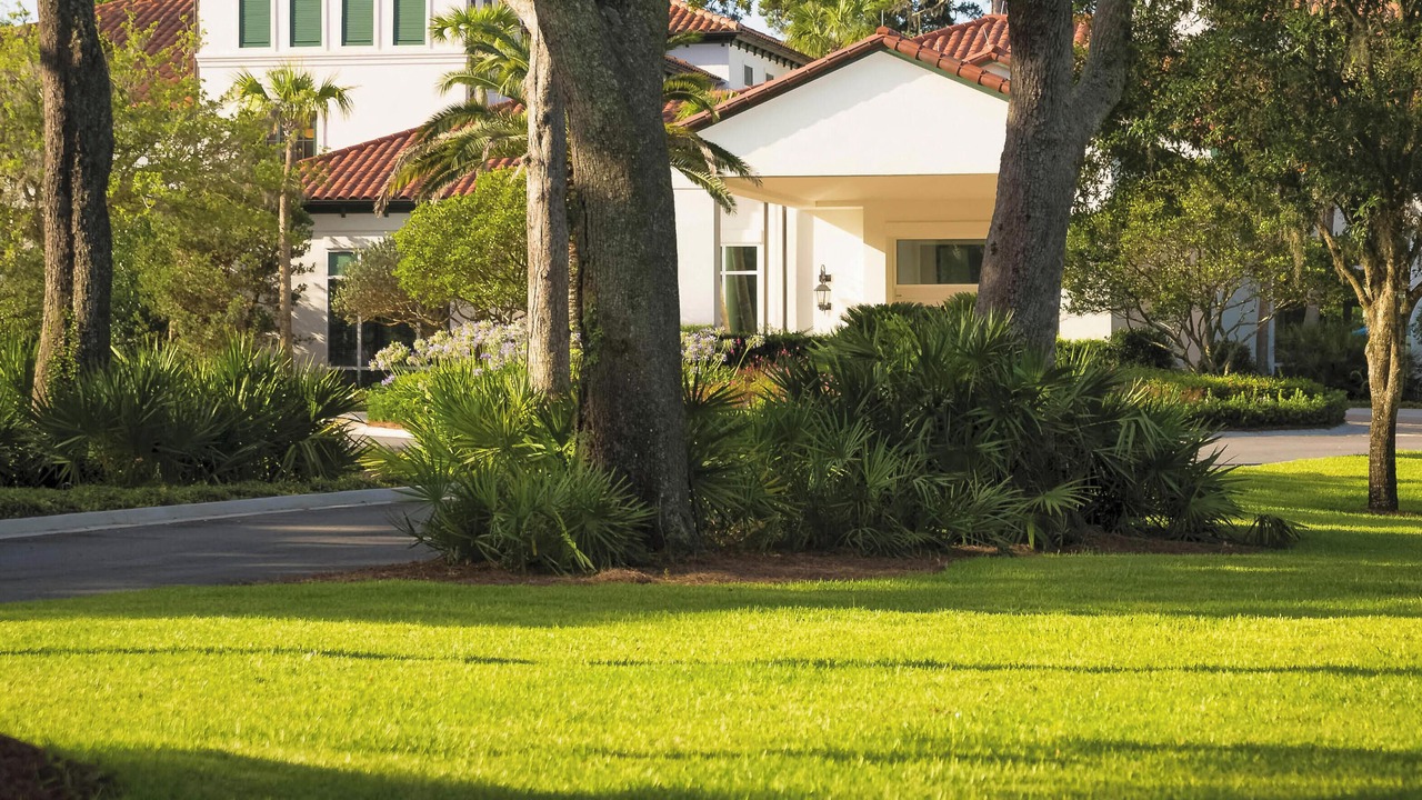 Photo of Outdoor in Saint Simons Island