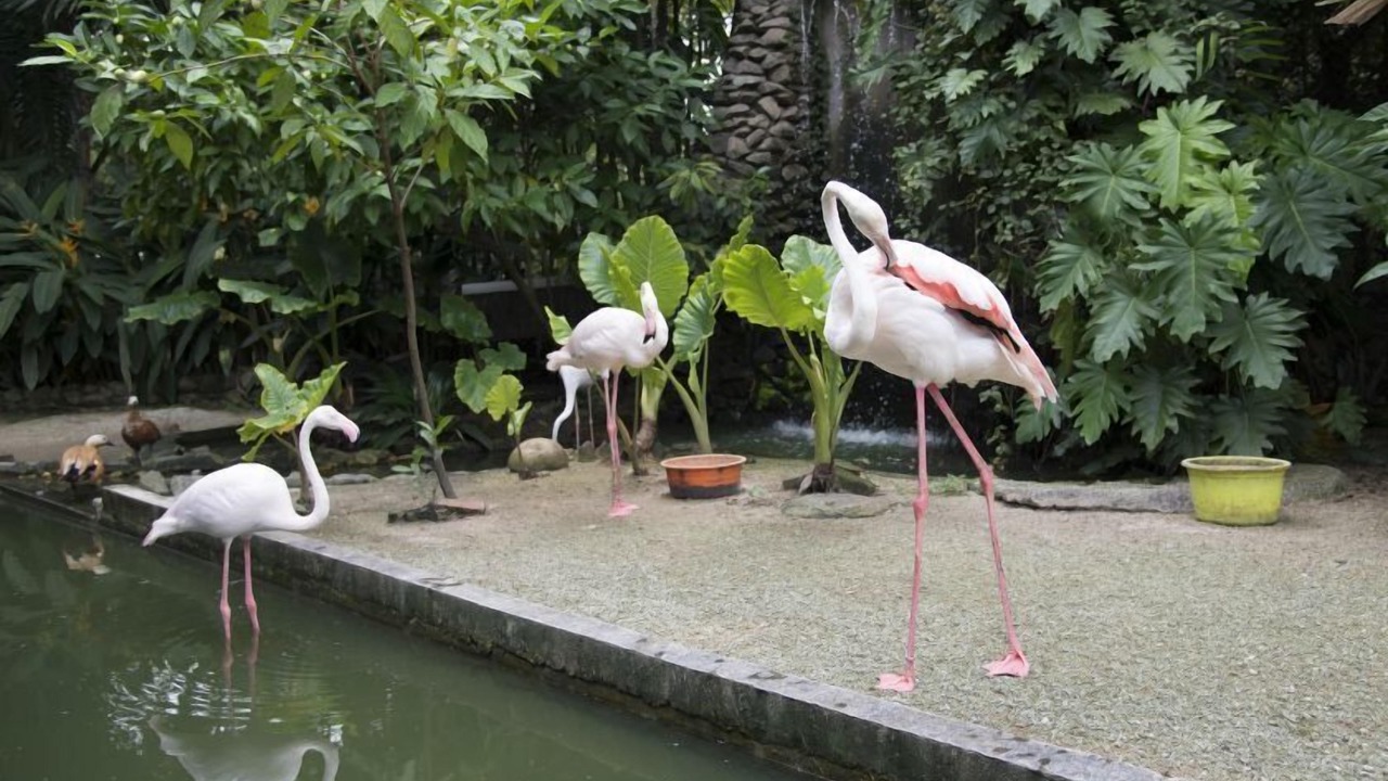 Photo of Others in Central Seberang Perai