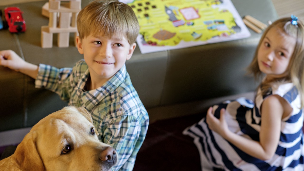 Photo of Others in Hyeres City Centre