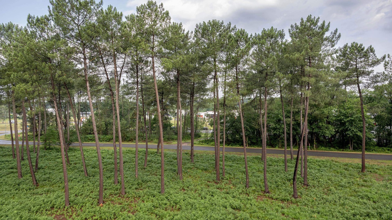 Photo of Outdoor in Saint-Avit