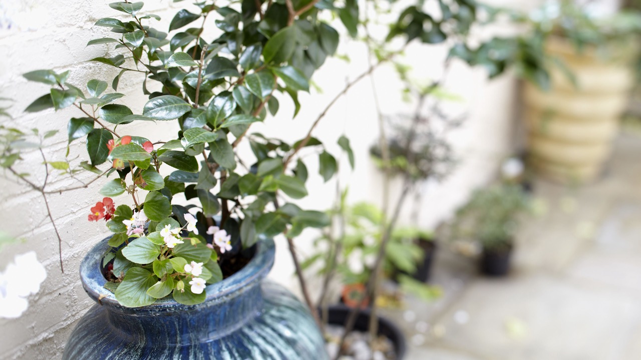 Photo of Outdoor in Belgravia