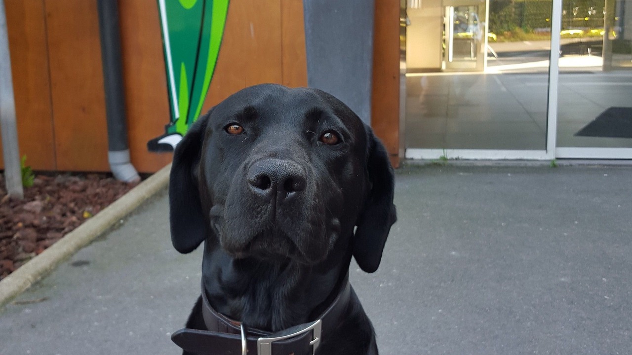 Photo of Outdoor in Grande-Synthe