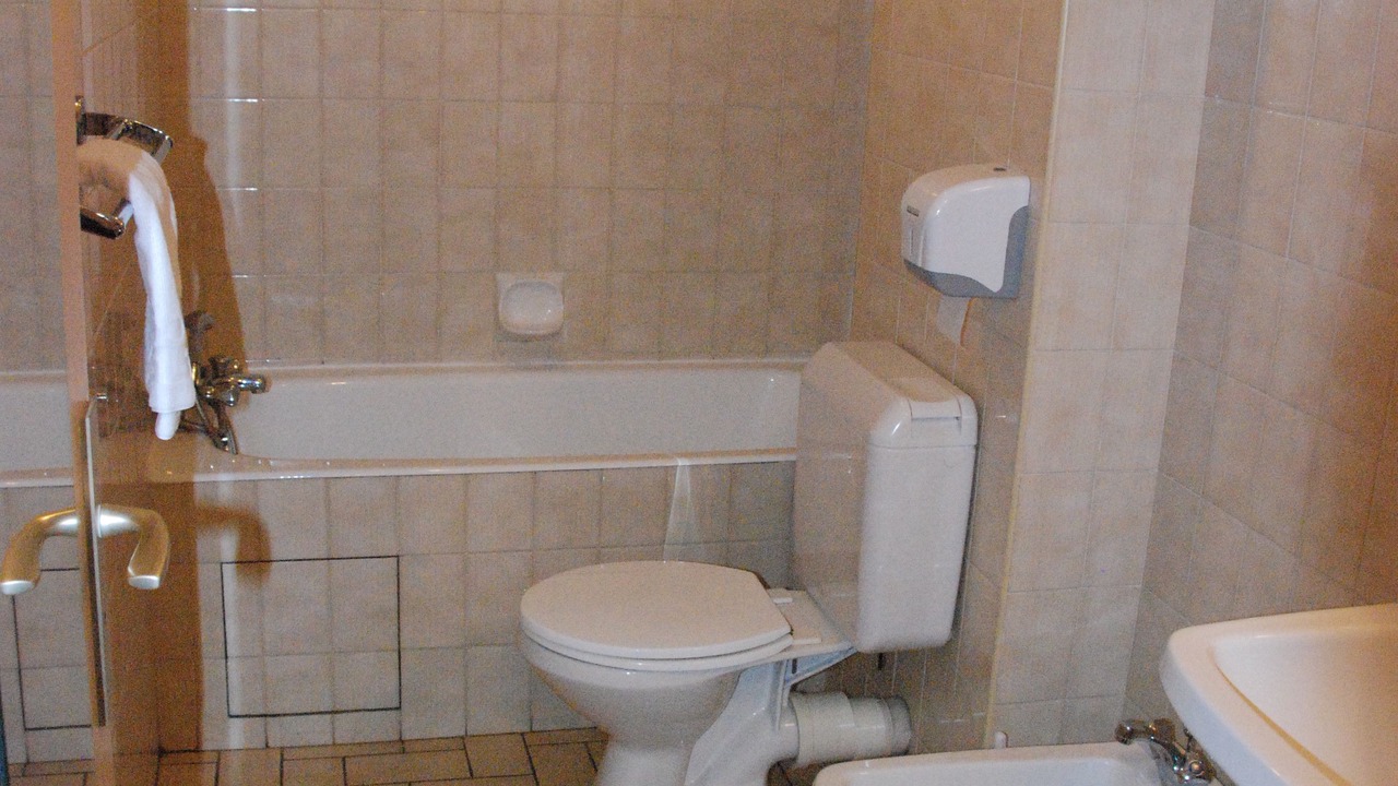 Photo of Bathroom in Lourdes