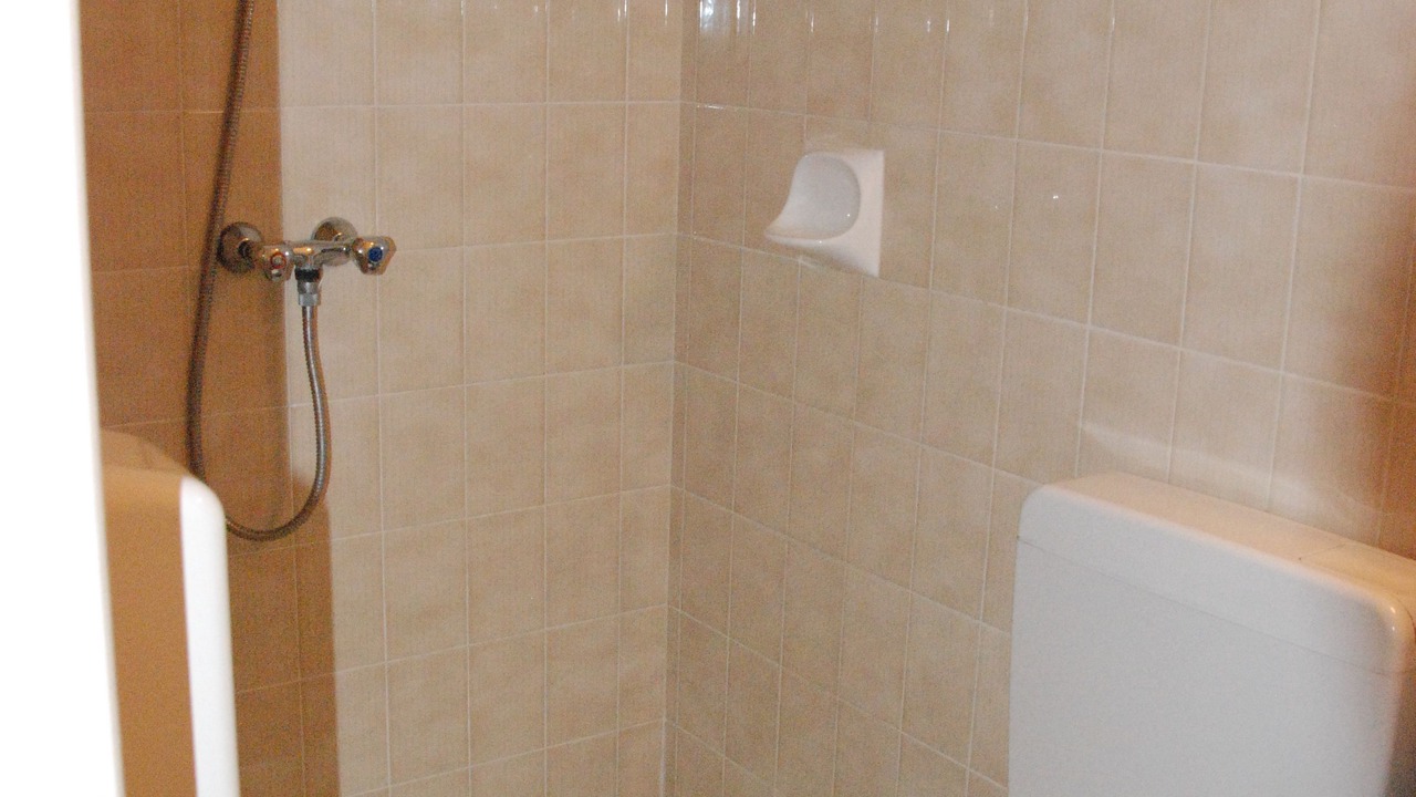 Photo of Bathroom in Lourdes