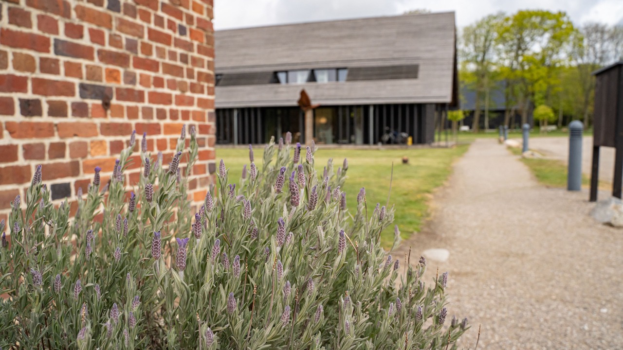 Photo of Outdoor in Vemb