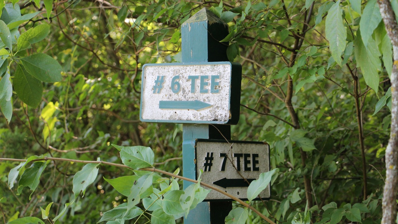 Photo of Others in New Haven