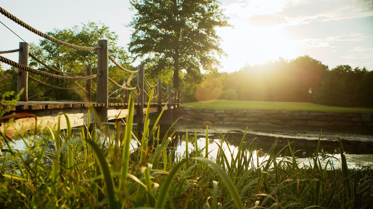 Photo of Others in New Haven